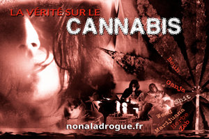 La vérité sur le cannabis La vérité sur le cannabis